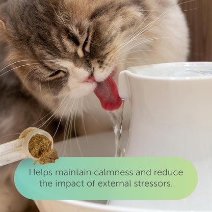 Flo Cat Cranberry Supplement for Cats by Veterinarian Recommended Solutions - Bladder Control for Cats - Urinary Tract Support - Cranberry Chews - Immune & Gut Support