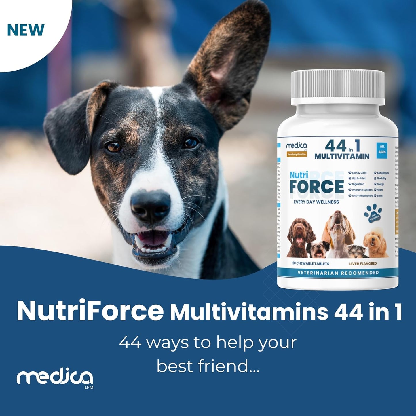 NutriForce 44-in-1 Multivitamin for Dogs – Daily Supplement for Hip & Joint, Skin & Coat, Immune, Digestion, Energy & Heart – 120 Chewable Tablets – Liver Flavor – All Breeds & Ages – Vet Recommended
