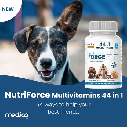 NutriForce 44-in-1 Multivitamin for Dogs – Daily Supplement for Hip & Joint, Skin & Coat, Immune, Digestion, Energy & Heart – 120 Chewable Tablets – Liver Flavor – All Breeds & Ages – Vet Recommended