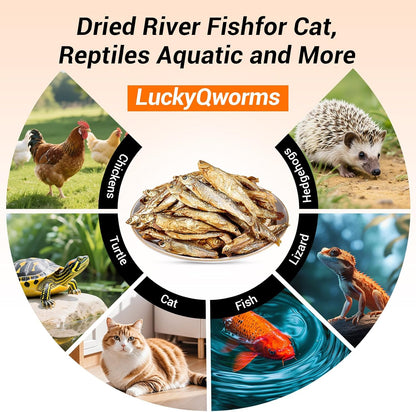 Dried Freshwater Fish, 1 Lbs Resealable Bag - Natural High-Protein Food for Turtles, Reptiles, Large Tropical Fish, Cats, Small Pets and Chicken - Crude Protein 30% Min