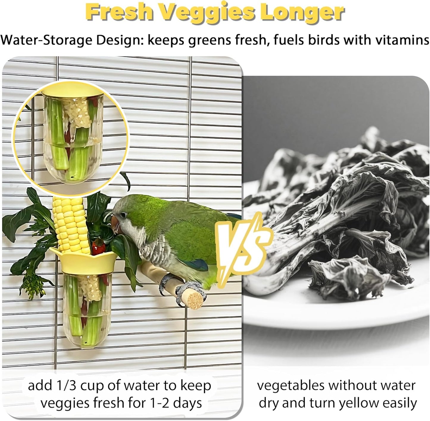 Stainless Steel Bird Perches & Feeder Set (2PCS) - Open-Grid Easy-Clean Perches with No-Spill Veggie Holders for Cockatiel, Conure, Budgie, Quaker