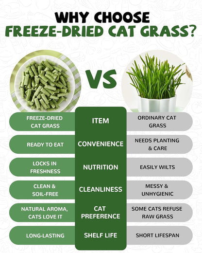 PAWUP Freeze Dried Chicken Cat Treats, Cat Grass Added, High-Fiber Hairball Care & Digestive Support Snacks for Indoor Cats, 3.8oz