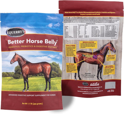 EQUERRY'S Better Horse Belly – Gut Support Supplement with Probiotics, Prebiotics & Digestive Enzymes | for Colic and Digestive Upset, 1.1LB