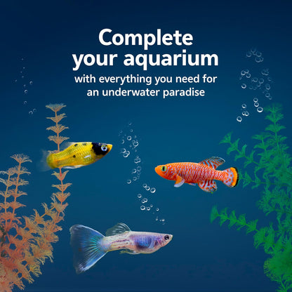 Aqueon Fish Tank Aquarium Essentials Starter Kit for 10 Gallon Tanks