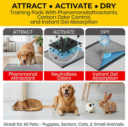 Glad for Pets Black Charcoal Puppy Pads - Super Absorbent Disposable Dog Pee Pads, Potty Training Pads, and Pet Supplies - Dog Pee Pads for Crate Training and Indoor Use 23" x 23" - 50 Count