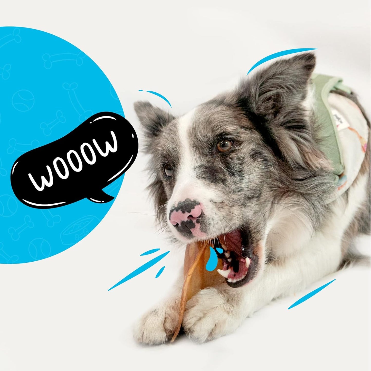 Sitka Farms Cow Ears 12 Count and Pig Ears 50 Count Bundle