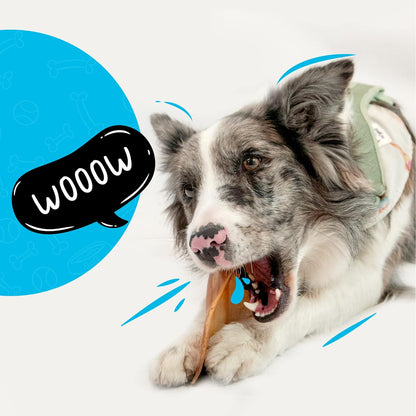 Sitka Farms Cow Ears 12 Count and Pig Ears 50 Count Bundle