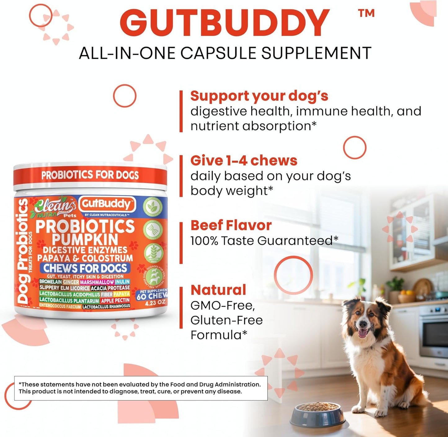 Gut Health Probiotics for Dogs + Pumpkin Colostrum Digestive Enzymes Ginger Slippery Elm Licorice Inulin Fiber Soft Chews Dog Probiotic Beef Flavor Digestion Supplement Treat Bites Large & Small Pets