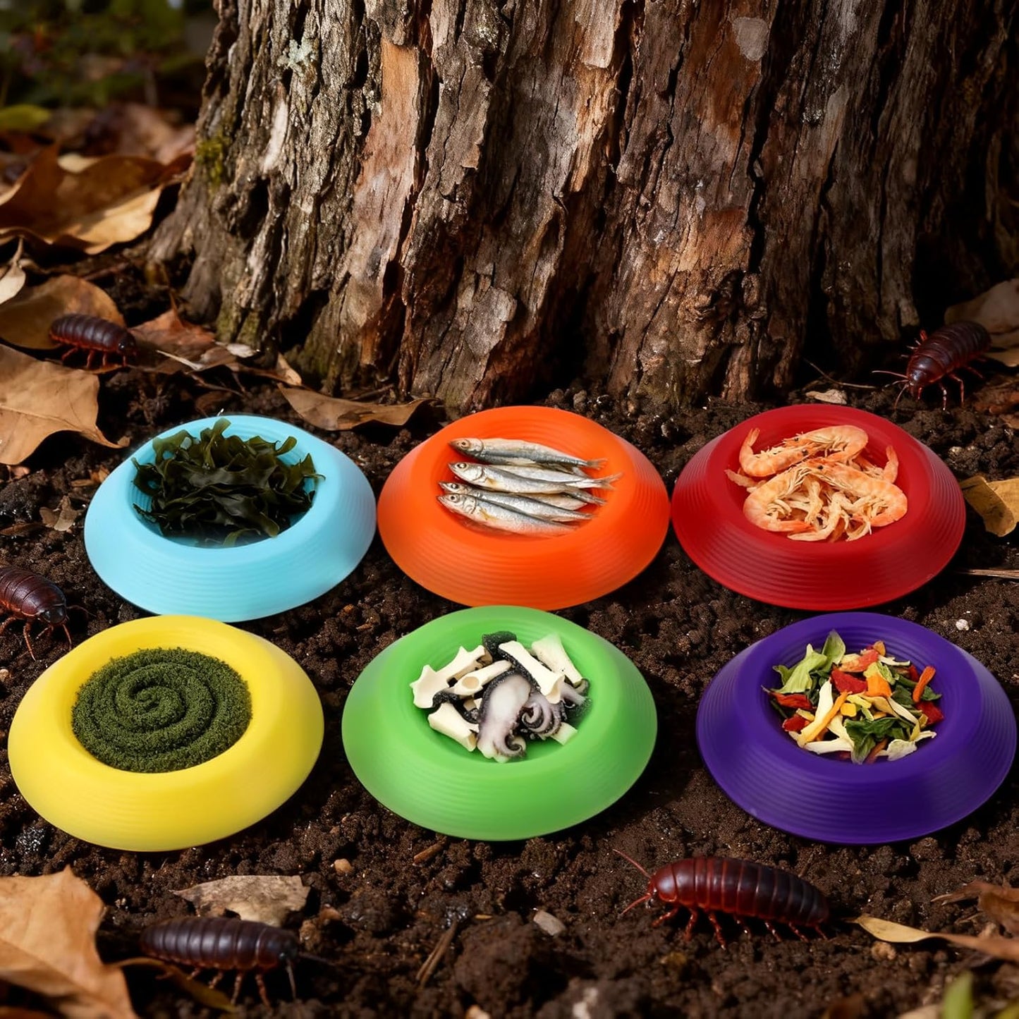 18pcs Reptile Food Dish Bowls, Plastic Colorful Reusable Small Reptile Food Dish Bowls Suitable for Lizard Gecko Frog Pet Tortoise Isopods (6 Colors)