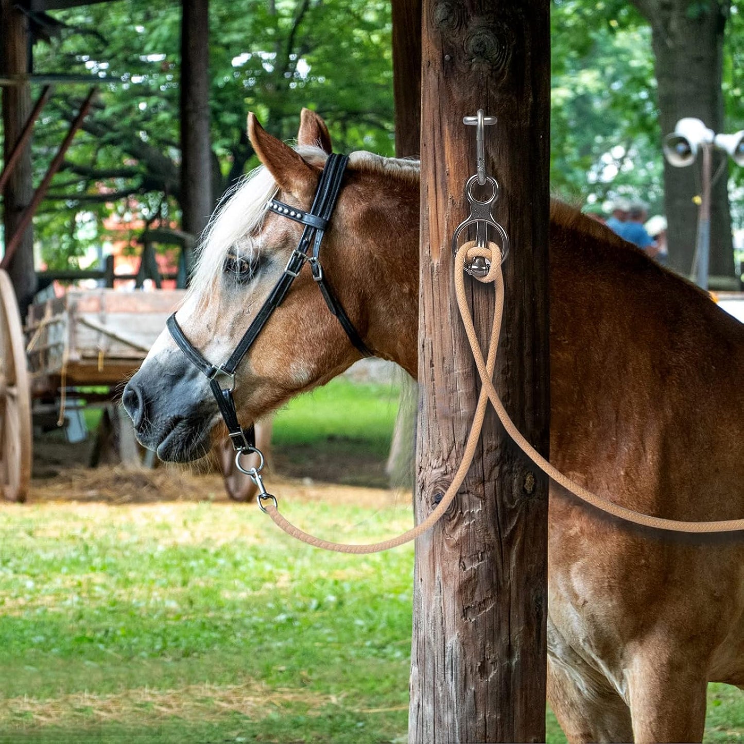 Blocker tie Ring for Horses,Horse tack and Supplies Horse Accessories,Horse tie Ring Prevents Horses from Pulling Back Sturdy Stainless Steel