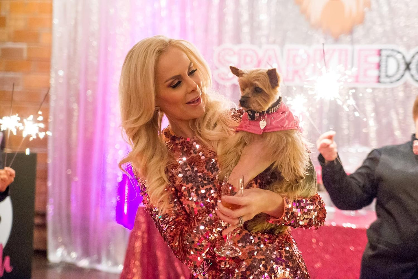 Multivitamin Daily Supplement Soft Chews for Dogs - Dietary Support for Small Medium or Large Pets - for Active Working & Senior Canines - 60 Chews