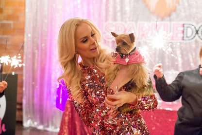 Multivitamin Daily Supplement Soft Chews for Dogs - Dietary Support for Small Medium or Large Pets - for Active Working & Senior Canines - 60 Chews