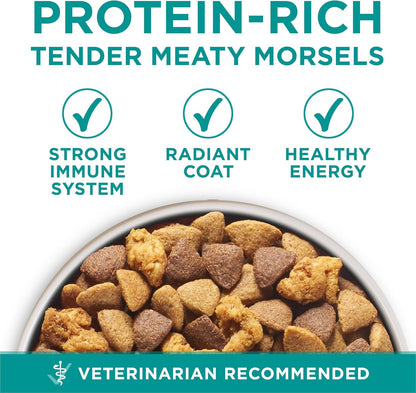 Purina One Plus Digestive Health Formula Dry Dog Food Natural with Added Vitamins, Minerals and Nutrients - 31.1 Lb. Bag