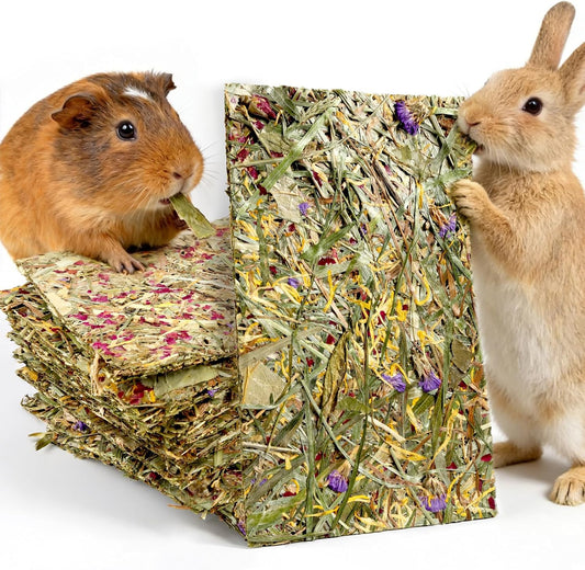 Abizoo Rabbit & Guinea Pig Treats 8 Pack Timothy Hay Bunny Chew Toys with Herbal Flowers Timothy Hay Forage Mix for Rabbits Guinea Pig Chinchillas Hamster Gerbils Rats Small Animals Teeth Care(Large)
