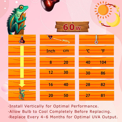 60W Red Infrared Heat Lamp Bulb – All-Day Heating, Supports Metabolism & Digestion, Basking Spot Light for Reptiles, Lizards, Snakes & Chicks, Terrarium & Brooder Heater