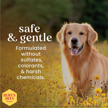 Burt's Bees for Pets Deodorizing Wipes with Witch Hazel, 95% Natural Origin Formulas, Odor Control Dog Wipes - Gentle Dog Deodorizing Wipes, Lemongrass and Sage Fragrance 50ct