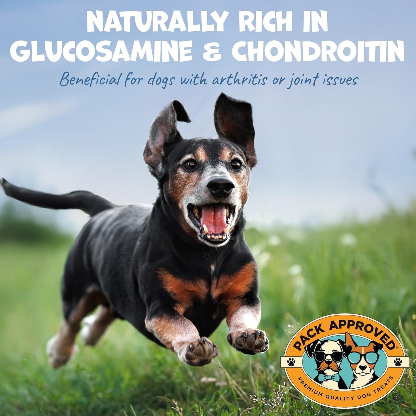 High Protein Single Ingredient Dog Treats Bundle - Chicken Chips & Beef Trachea