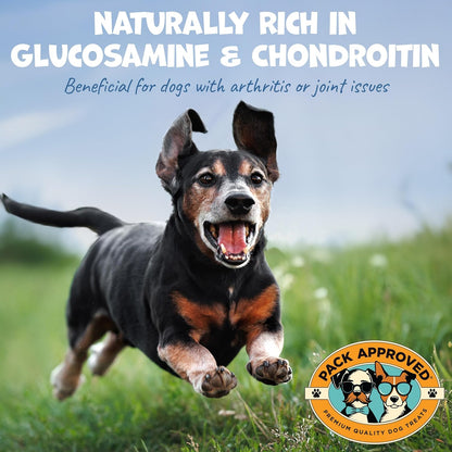 High Protein Single Ingredient Dog Treats Bundle - Chicken Chips & Beef Trachea