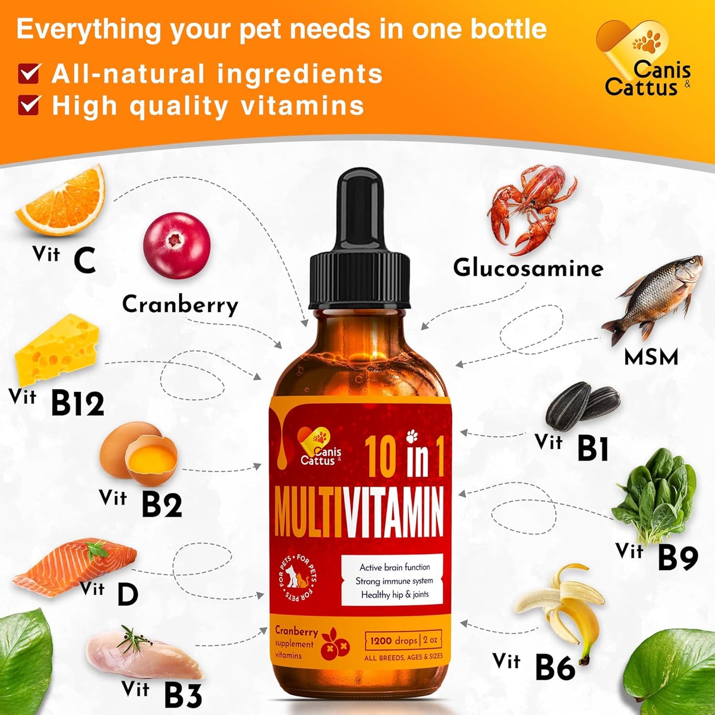 Liquid Cat & Dog Vitamins – Dog Antibiotics for All Pets – Bundle of 10 in 1 Cat & Dog Multivitamin + Antibiotic Supplement – Cough, Allergy, Sneezing, Joint Care – Vitamin C, D, B – Bottle Set x 2 oz