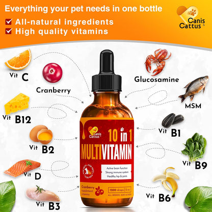 Liquid Cat & Dog Vitamins – Dog Antibiotics for All Pets – Bundle of 10 in 1 Cat & Dog Multivitamin + Antibiotic Supplement – Cough, Allergy, Sneezing, Joint Care – Vitamin C, D, B – Bottle Set x 2 oz