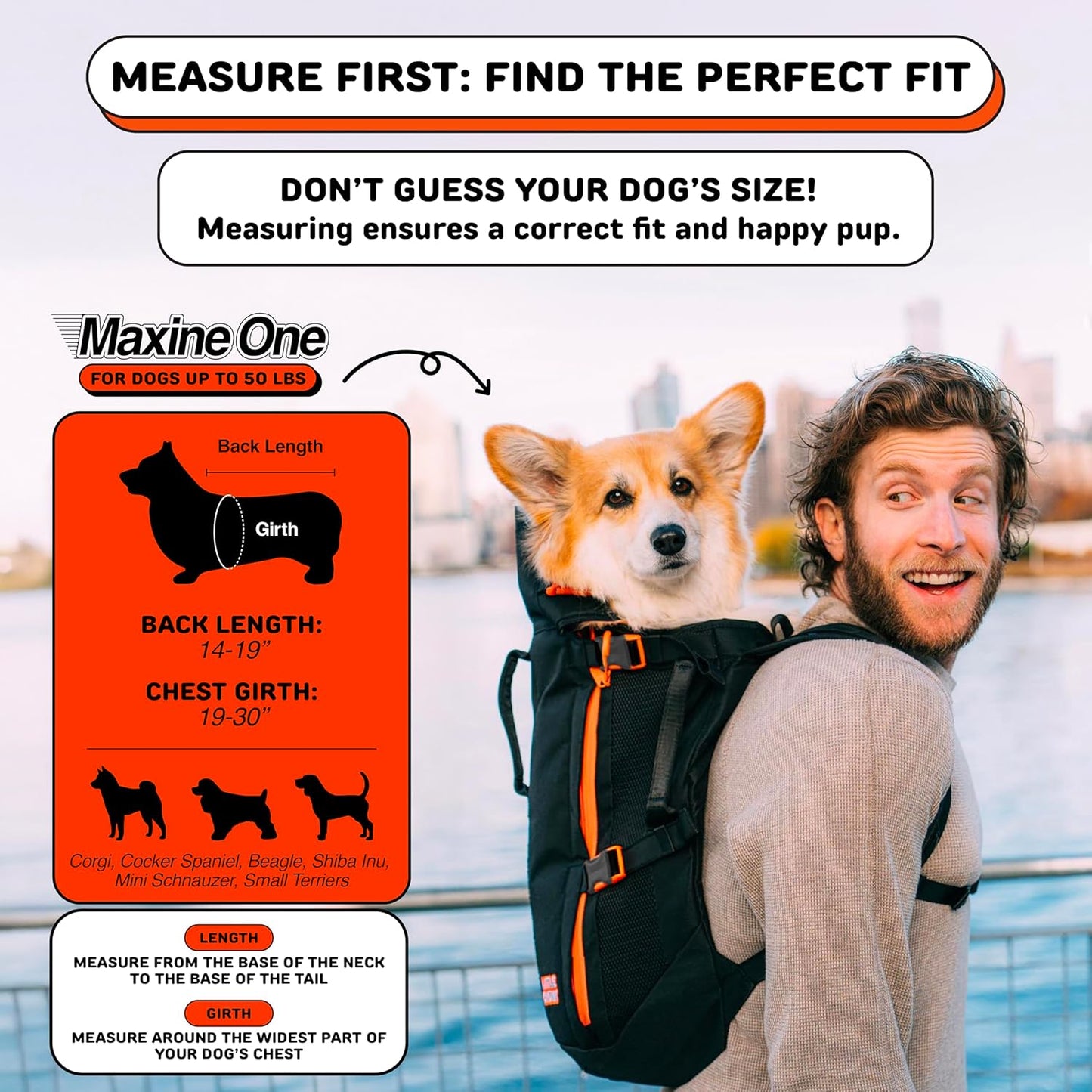 The Maxine One Medium Dog Carrier by Little Chonk | Dog Backpack Carrier for Medium Sized Breeds | Adjustable Front Facing Pet Carrier for Travel | Dog Hiking Backpack - Bark After Dark Black