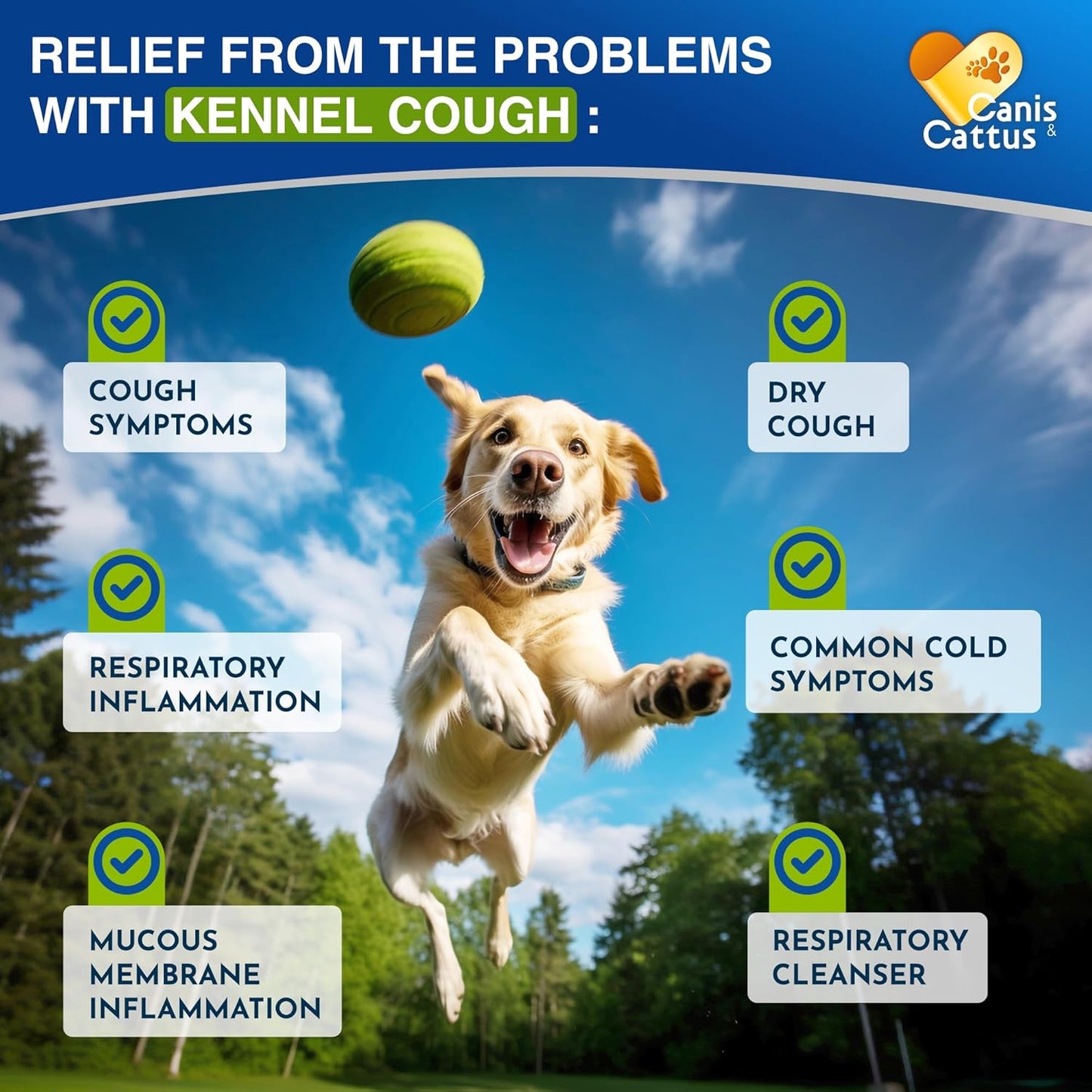 Liquid Dog Vitamins for All Pets – Bundle of Cat & Dog Multivitamin– Vitamin C, D & B – Kidney, Liver & HIPS – Helps with Cough & Breathing – All Breeds Care – 2 Bottle Set