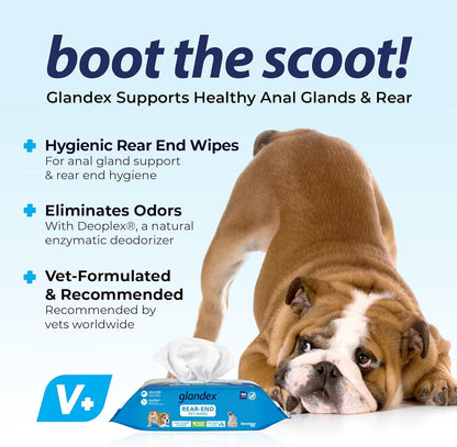 Vetnique Labs Glandex Anal Gland Medicated Spray for Dogs & Cats (4oz) and Glandex Anal Gland Hygienic Pet Wipes100 Ct Bundle, Dog Deodorizing Spray & Anti-Itch Spray, Cleaning Wipes with Fresh Scent