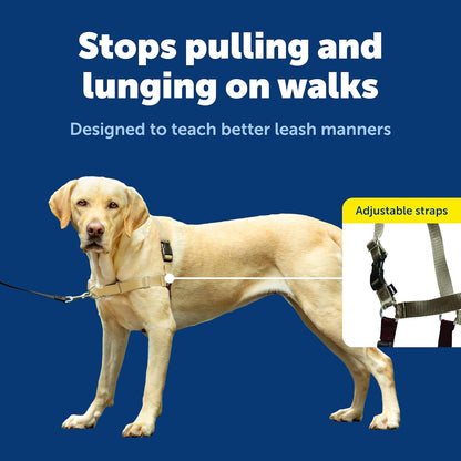 PetSafe Easy Walk Harness for Dogs - Pull-Free Walks - Patented Martingale Loop Design - Front Chest Leash Attachment - Comfort Straps - Breathable Harness Design - Large, Fawn/Brown