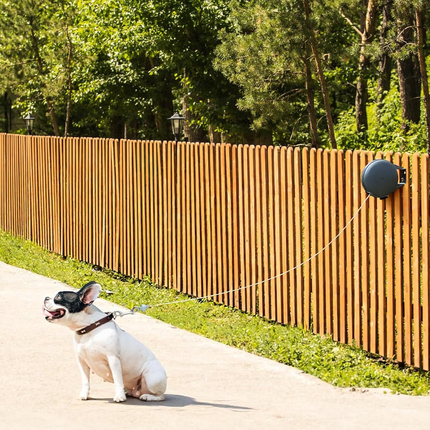 39ft Wall Mounted Retractable Dog Leash Extra Long Steel Cable with Length Lock, Anti Tangle Pet Leash for Medium Large Dogs up to 50lbs, Multi Purpose Outdoor Indoor Retractable Dog Tie