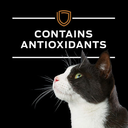 Pro Plan Veterinary Diets Purina NF Kidney Function Advanced Care Feline Formula Dry Cat Food - 3.15 lb. Bag