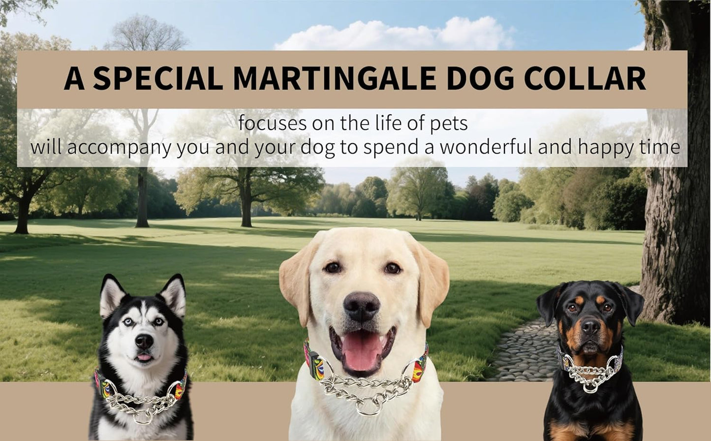 Martingale Dog Collar with Chain Stainless Steel, Nylon Dog Collar Flowers Pattern, Adjustable Training Walking Collar with Quick Release Buckle, Slip Chain Collar for Puppy Medium Large Dogs