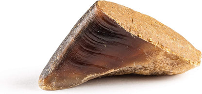 Jack&Pup Filled Cow Hooves for Dogs, Cow Hoofs for Dogs, Natural Dog Chews, Stuffed Bones (Peanut Butter Flavor) 1 Pack