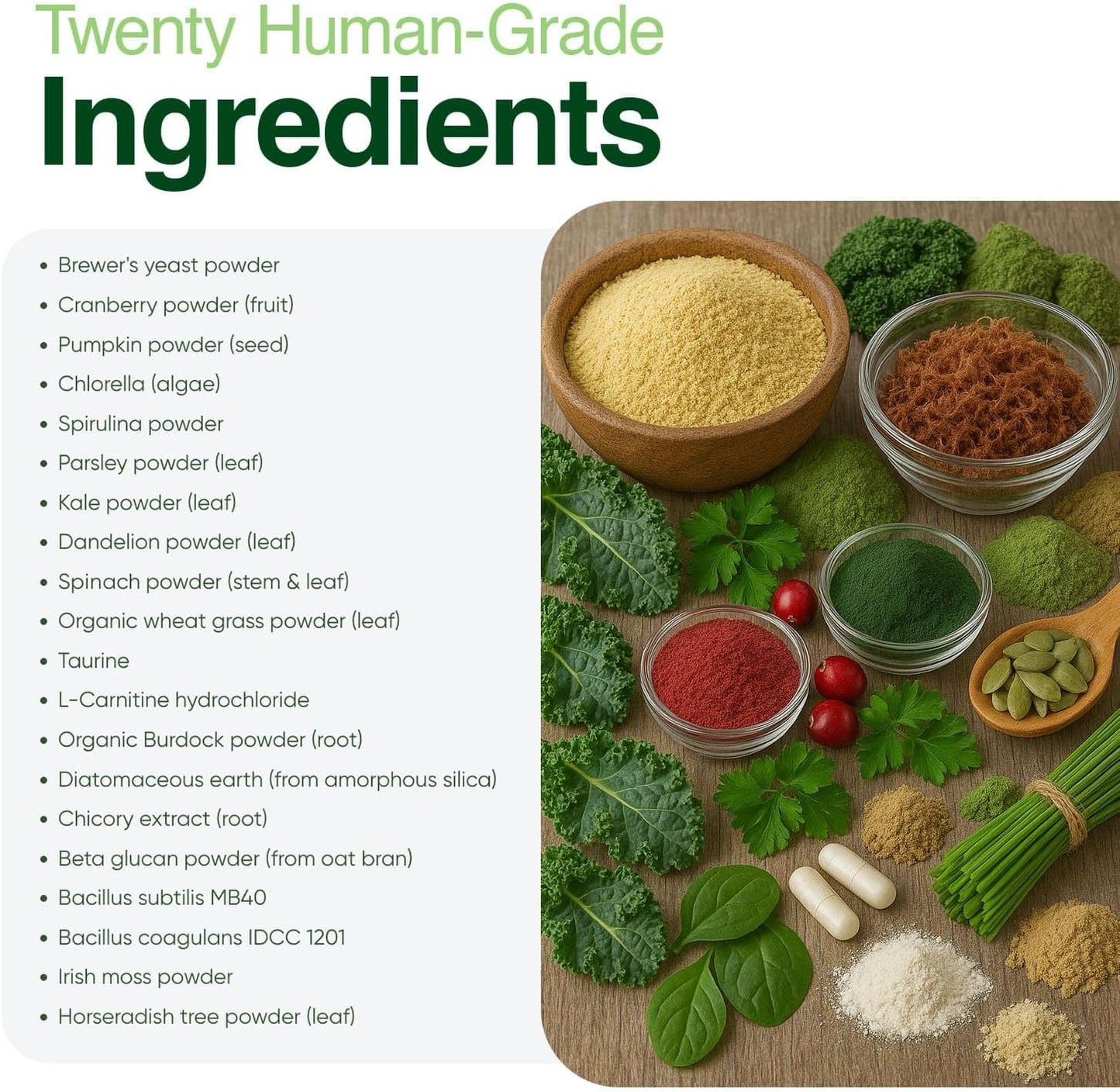 Human-Grade Superfood For Dogs, Premium Greens Powder Supplement For Dental Health, Longevity, Hip & Joint, Gut Health, Allergies, Immune Support, Skin & Coat - 3.5 oz Nutrient Dense Formula