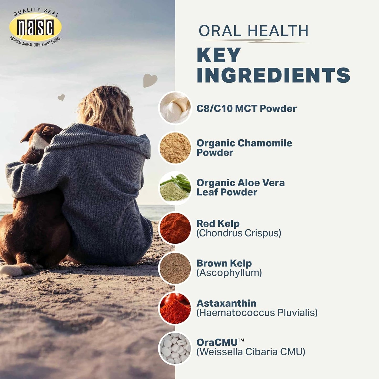 Four Leaf Rover Dog Dental Powder – Natural Probiotic Support for Bad Breath, Tartar & Plaque – with Red & Brown Kelp, Weissella Cibaria, Aloe & Chamomile – 30-Day Supply