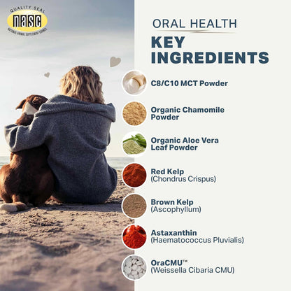 Four Leaf Rover Dog Dental Powder – Natural Probiotic Support for Bad Breath, Tartar & Plaque – with Red & Brown Kelp, Weissella Cibaria, Aloe & Chamomile – 30-Day Supply