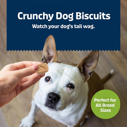 Blue Buffalo Health Bars Mini Crunchy Dog Biscuits, Oven-Baked with Natural Ingredients, Apples & Yogurt, 16-oz Bag