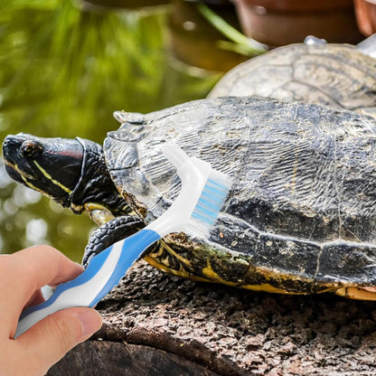 2Pcs Turtle Shell Cleaning Brush Double-Head Portable Dirt Remover Household Small Multi-Functional Reptile Health Supplies for Tortoise Shell Maintenance