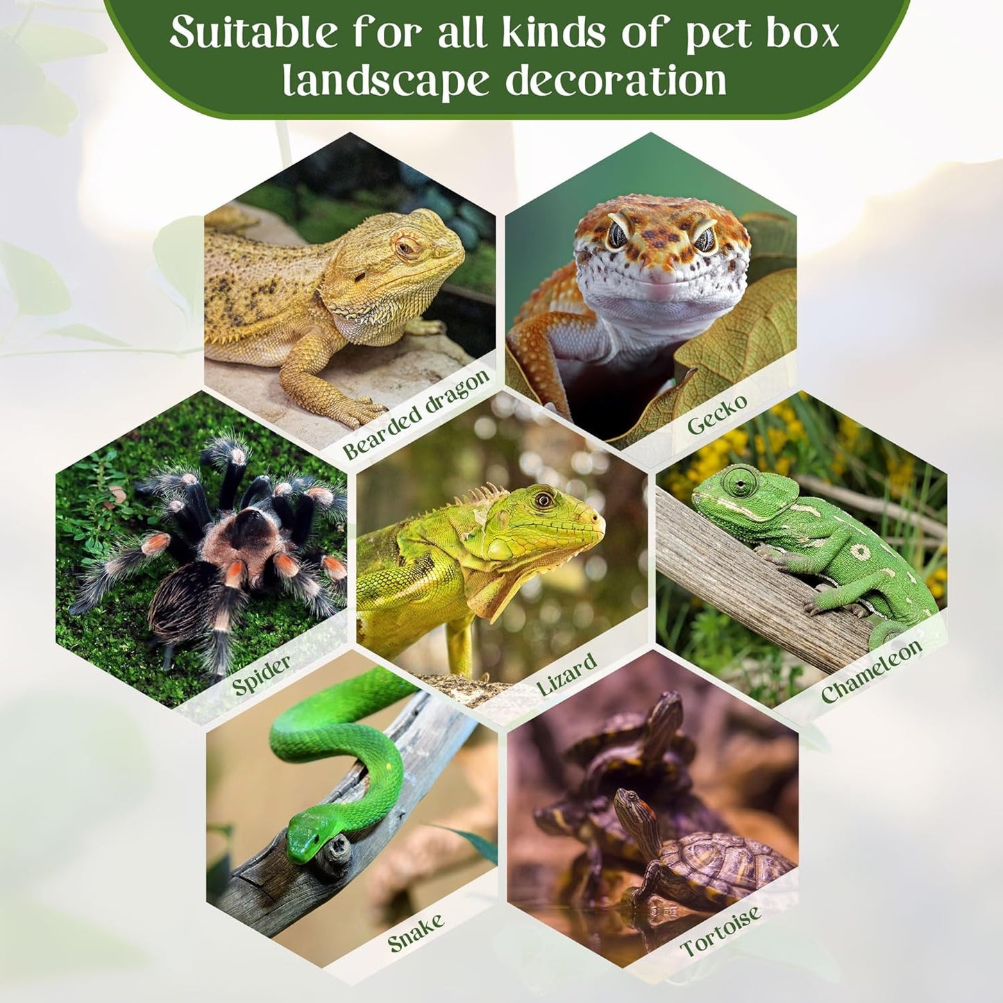 Reptile Plants for Terrarium, Amphibian Habitat Decor Plant, Bearded Dragon Tank Decorations, Artificial Plants for Gecko Lizard Chameleon Tortoise Ball Python Snake with Base - Fake Saxifrage