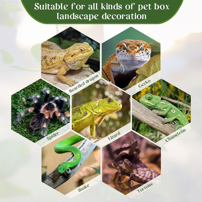 Reptile Plants for Terrarium, Amphibian Habitat Decor Plant, Bearded Dragon Tank Decorations, Artificial Plants for Gecko Lizard Chameleon Tortoise Ball Python Snake with Base - Fake Saxifrage