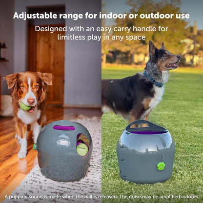PetSafe Automatic Ball Launcher - Interactive Fetch Game - Hands-Free Fetch Training - Adjustable Range - Includes Tennis Balls - Indoor Outdoor Play - Motion Sensors - Automatic Sleep Mode