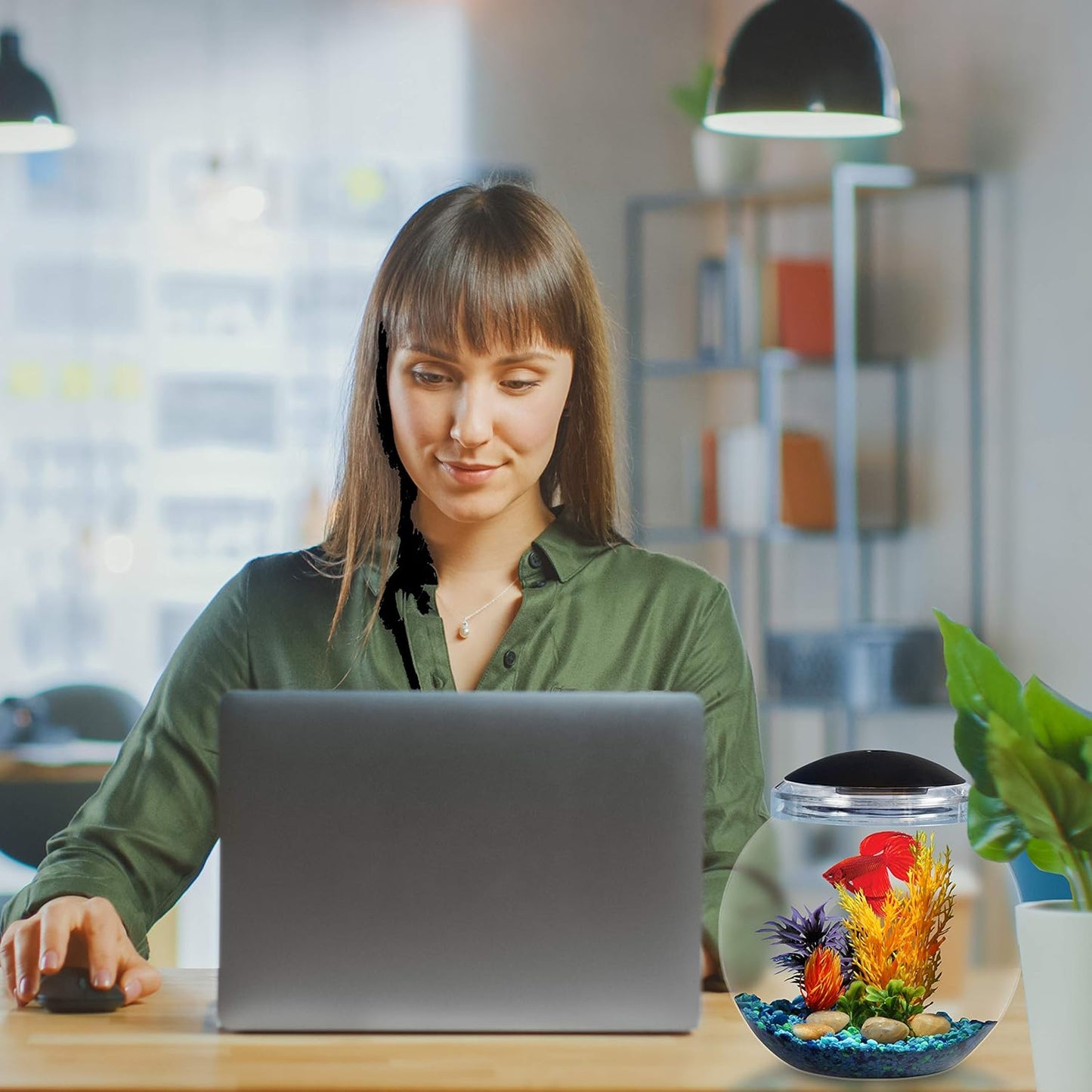 Koller Products 1-Gallon Globe Fish Bowl, Impact- Resistant Plastic Aquarium Starter Kit with LED Lighting, Built-in Timer, Crystal-Clear Clarity, Desktop Fish Tank for Home Décor