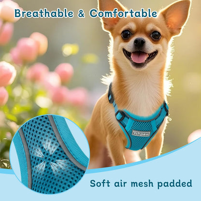 Small Dog Harness and Leash Set, Reflective Soft Breathable Mesh Vest, 3 Buckles, Adjustable Neck and Chest,Step in Dog Harness for Walking, Running, Training, Turquoise, XS