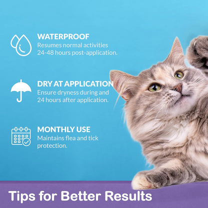 Topical Flea and Tick for Large Cats: Waterproof Topical Cat Flea and Tick – Fast-Acting & Long-Lasting at Home Control for Cats Over 9 lbs and 8 Weeks or Older – 6-Dose Supply