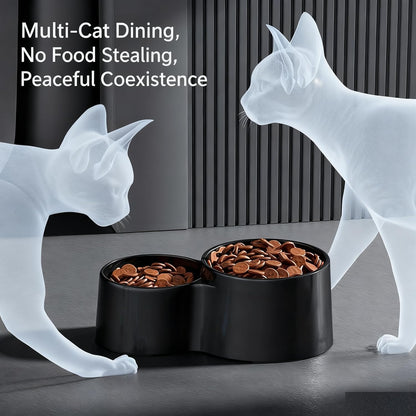 Ceramic Raised Cat Bowls, Tilted Elevated Anti Vomit Bowls for Indoor Cats, Non-Slip Bottom, Dual Food & Water Black Bowl, Whisker Friendly Pet Feeder for Cats Puppies