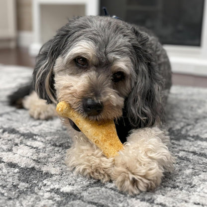 Fieldcrest Farms Nothin' to Hide Collagen-Based Dog Chews, Wishbone, Chicken Flavor, Ultra-Premium, for Dogs Over 50lbs, Easily Digestible, Supports Skin, Coat, Joints & Muscles, 7-Inch, 2 Pieces