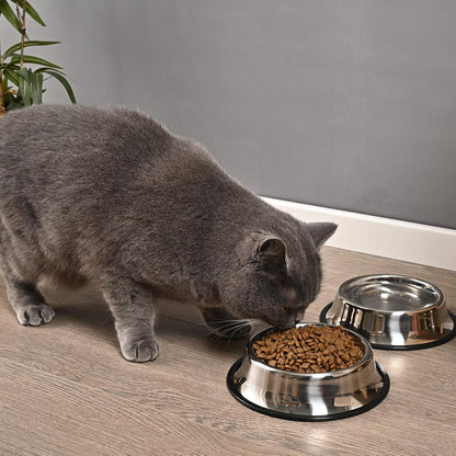 2Packs Stainless Steel Dog Bowl with Anti-Skid Rubber Base for Small/Medium/Large Pet, Perfect Dish, Pets Feeder and Water Choice Puppy Cat Kitten (8oz)