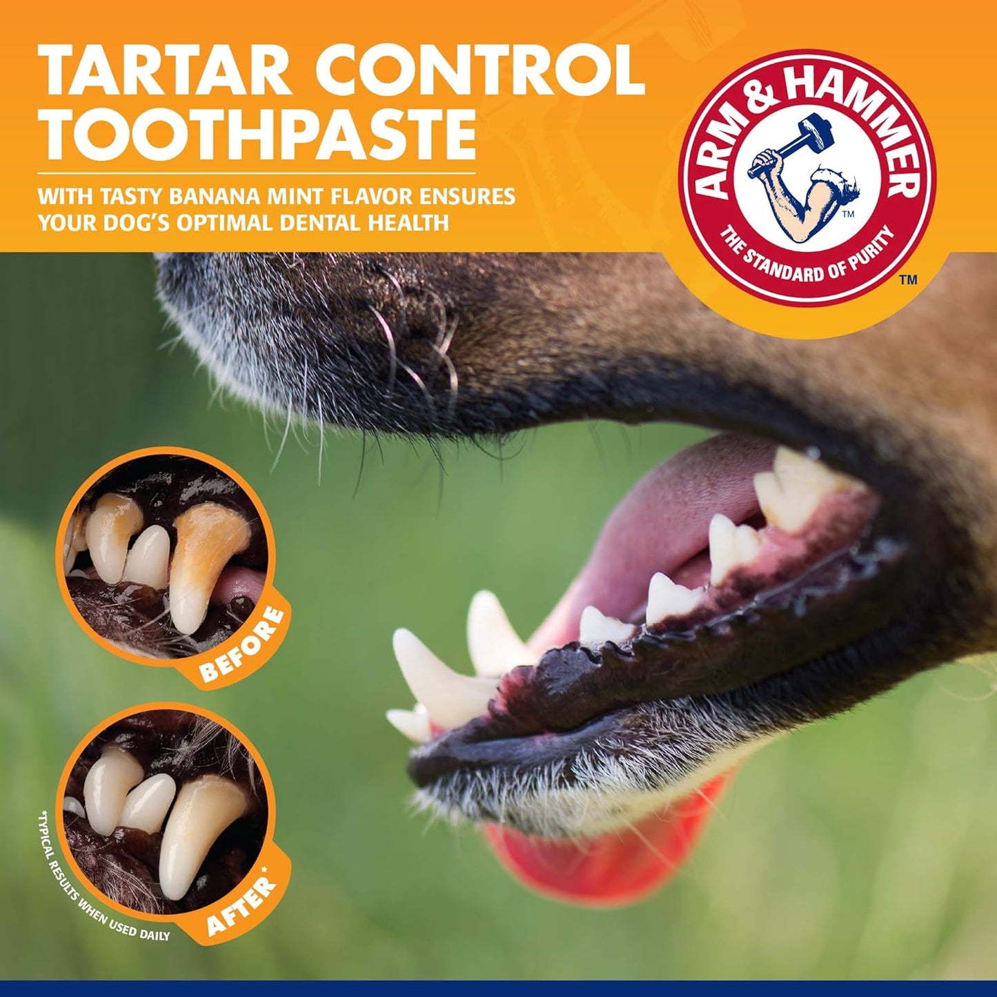 Arm & Hammer for Pets Tartar Control Kit for Dogs Contains Toothpaste, Toothbrush & Fingerbrush Reduces Plaque & Tartar Buildup, 3-Piece Kit, Banana Mint Flavor (Pack of 1)