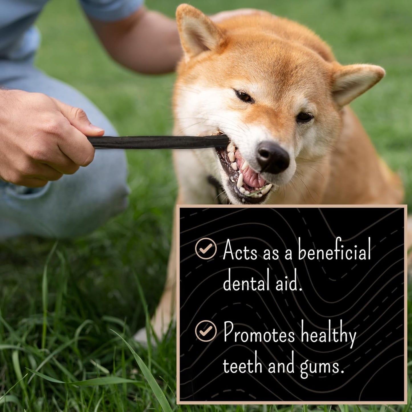 Collagen Sticks - 12 Inch Beef Collagen Sticks for Dogs - Collagen Chews for Dogs - Long Lasting Collagen Sticks for Small Dogs - Supports Healthy Joints, Skin & Coat - Pack of 10