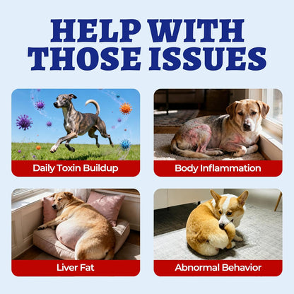 260 Bites Wellix Liver Support for Dogs - Milk Thistle for Dog Liver Supplements with Omega-3 - Supports Heart & Antioxidant for Large,Small Breed Fogs -Chicken Flavor