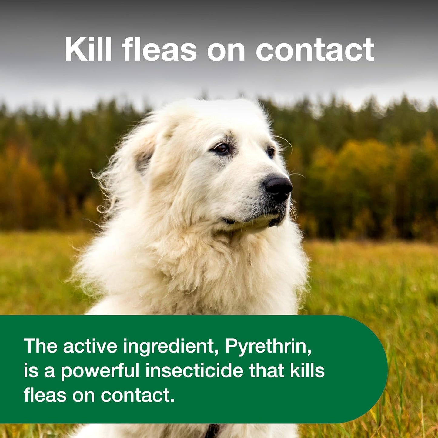 Advantage Dog Flea Treatment Spray | Kills Fleas & Ticks | Dog Flea Spray | 8 oz.